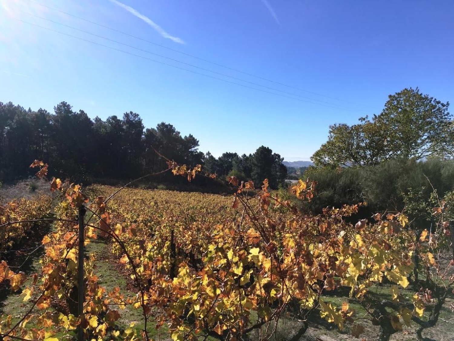  te koop terrein Castelo Chaves 3