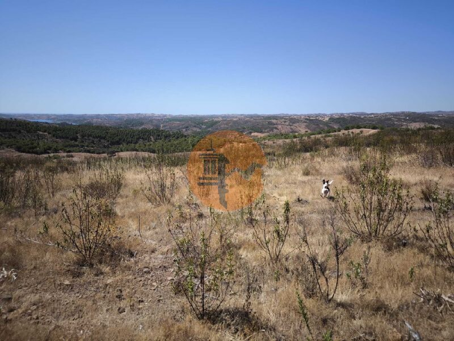  出售 土地 Odeleite Castro Marim 3
