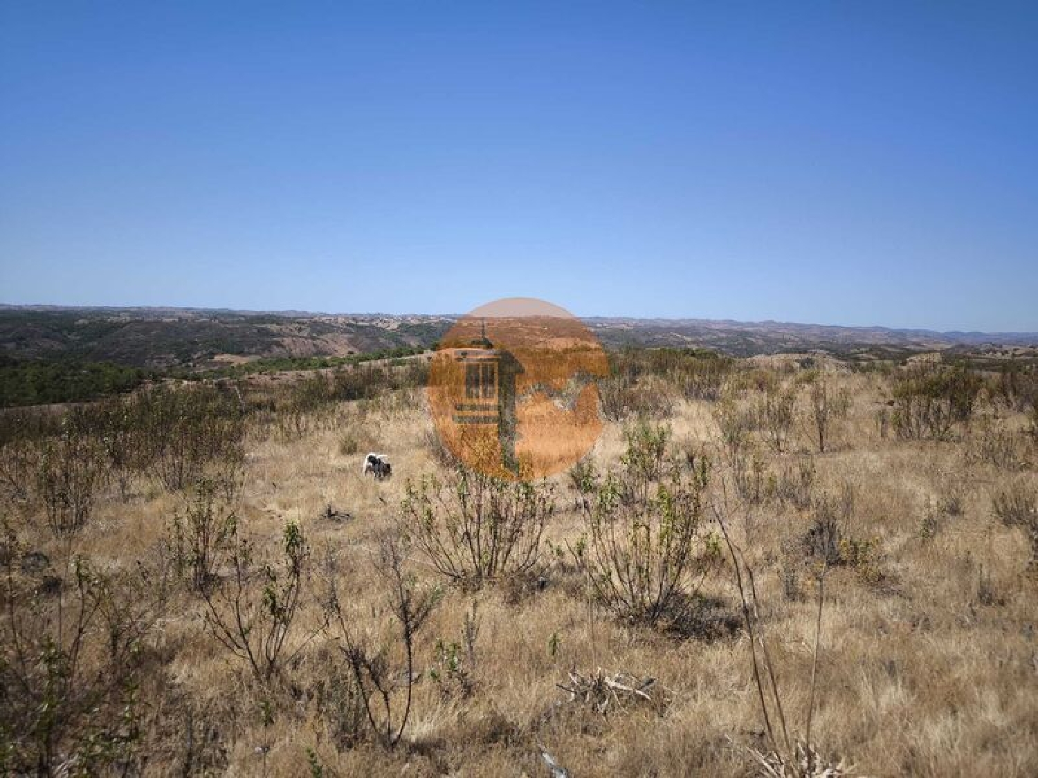  出售 土地 Odeleite Castro Marim 7