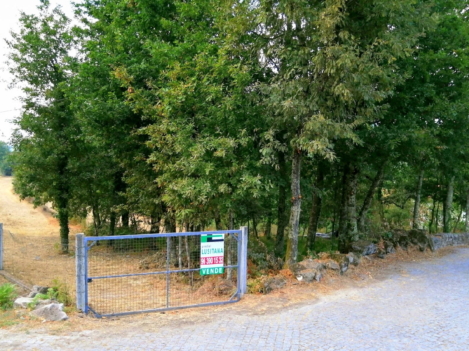  for sale terrain Passos Fafe 5
