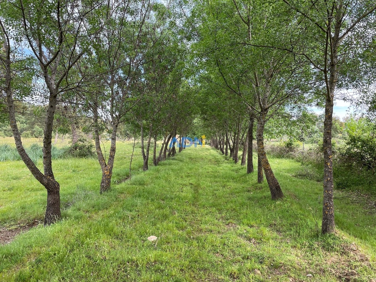  te koop terrein Penamacor Penamacor 3