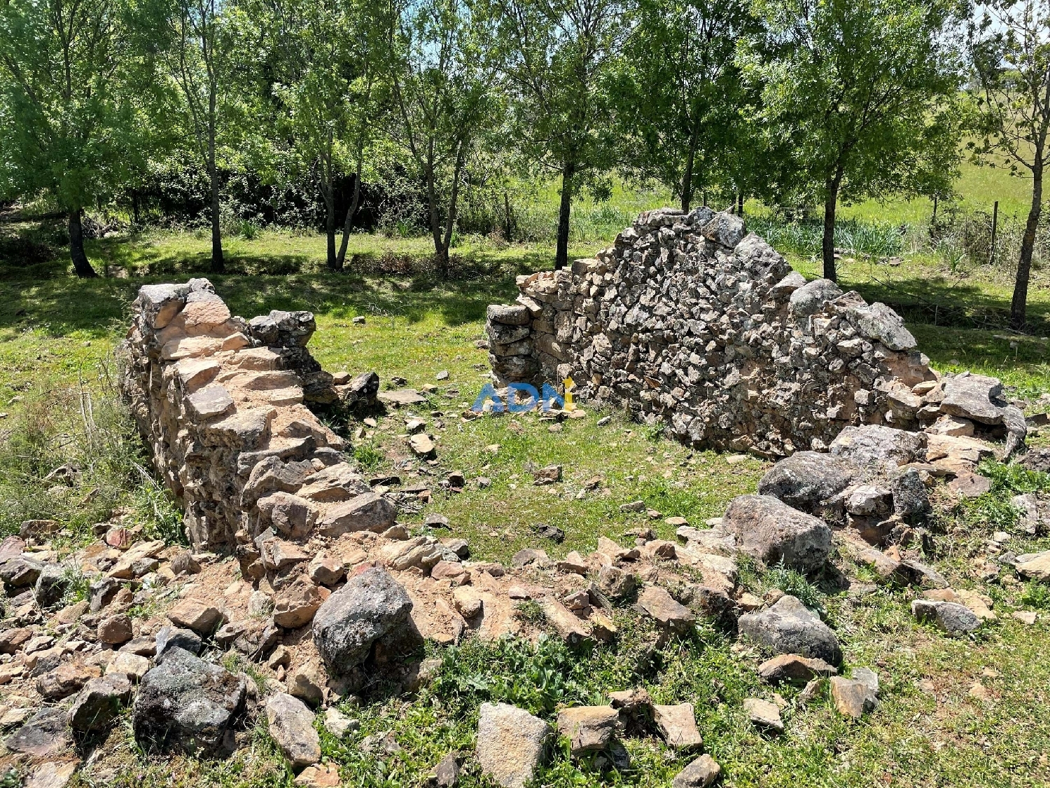  te koop terrein Penamacor Penamacor 5