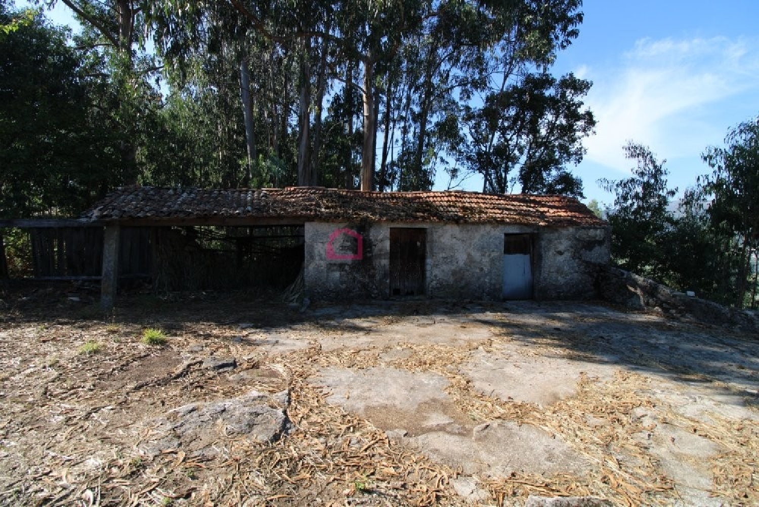 à venda terreno Pinheiro Carregal Do Sal 2
