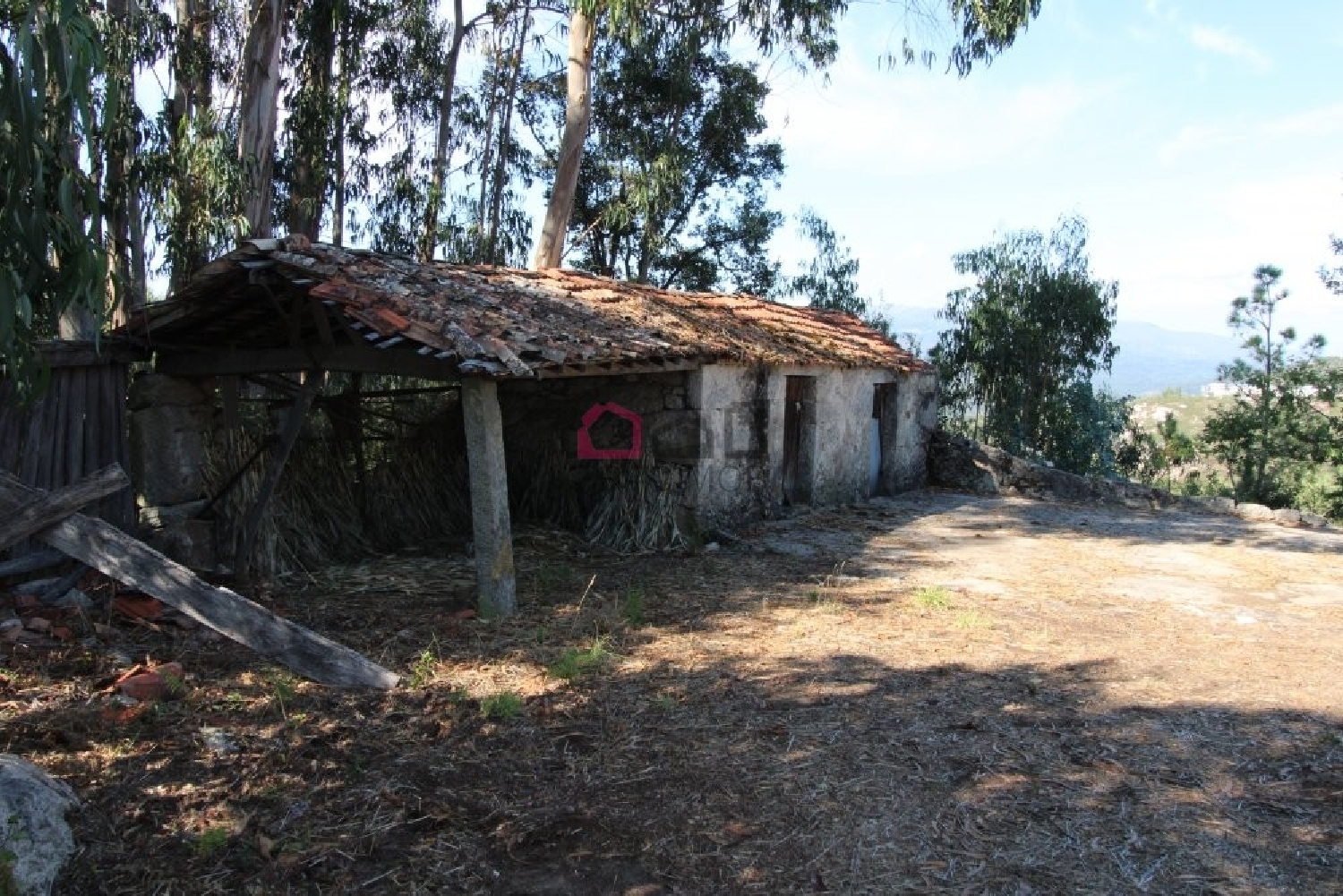  à venda terreno Pinheiro Carregal Do Sal 5