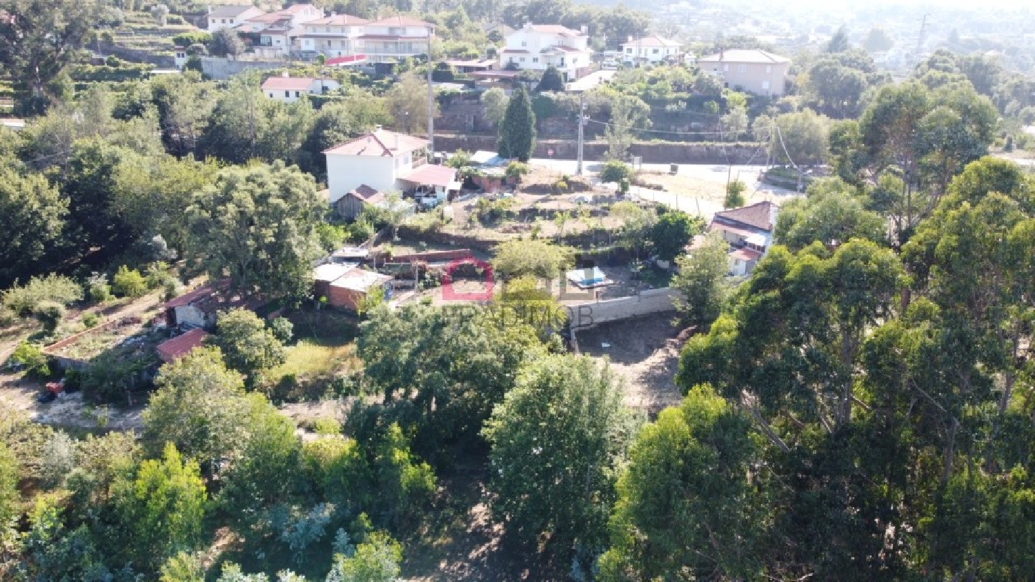  à venda terreno Pinheiro Carregal Do Sal 7