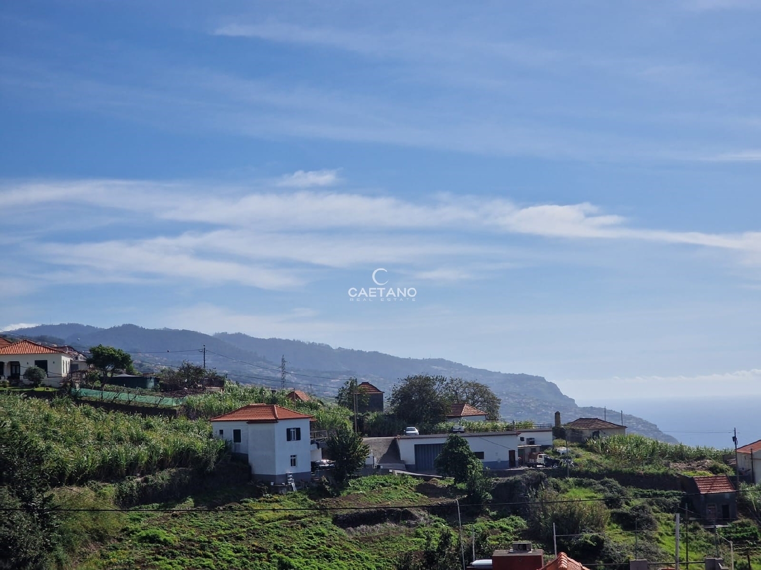  à vendre terrain Ponta do Sol Ponta Do Sol 3