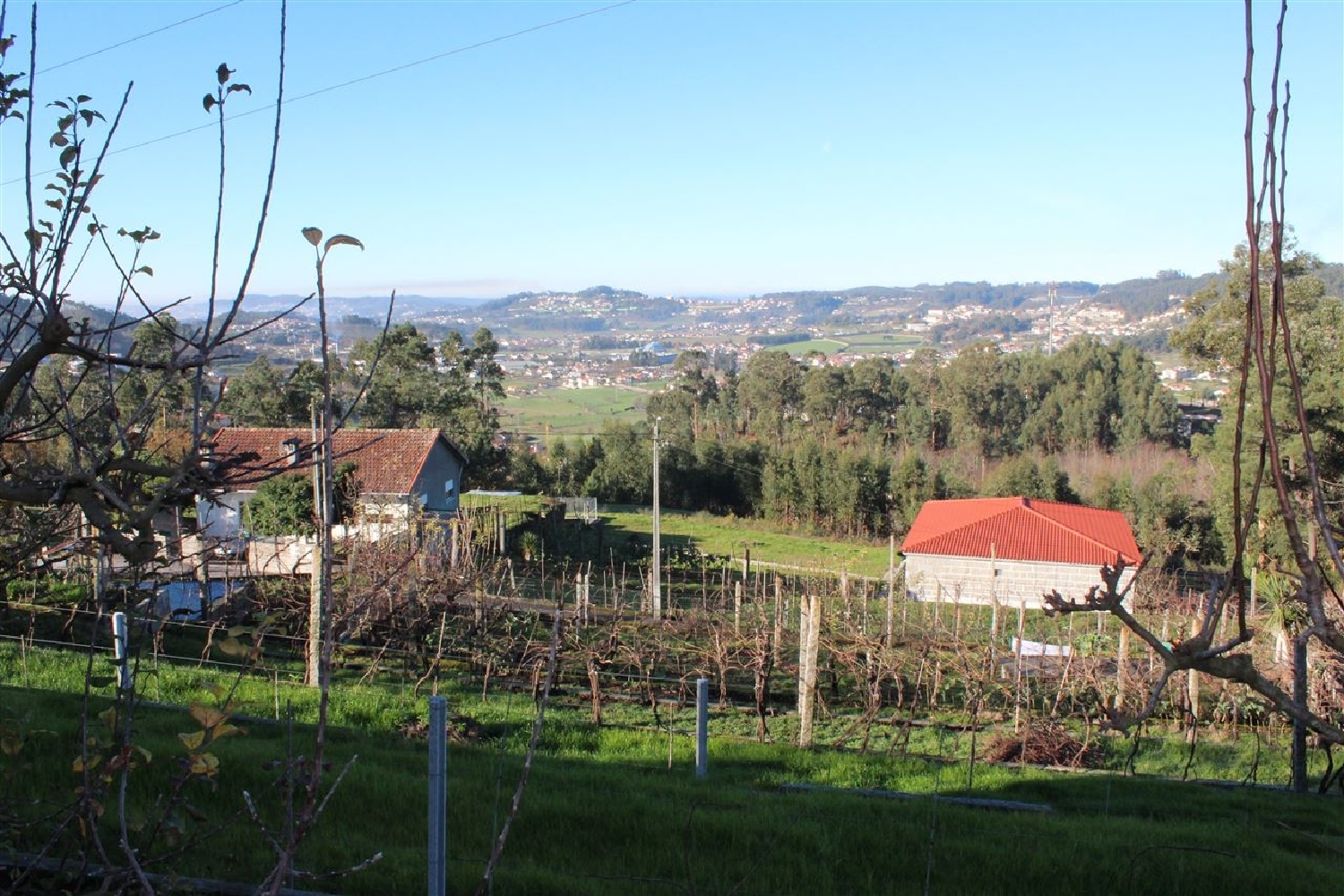  à vendre terrain Portela Amares 1