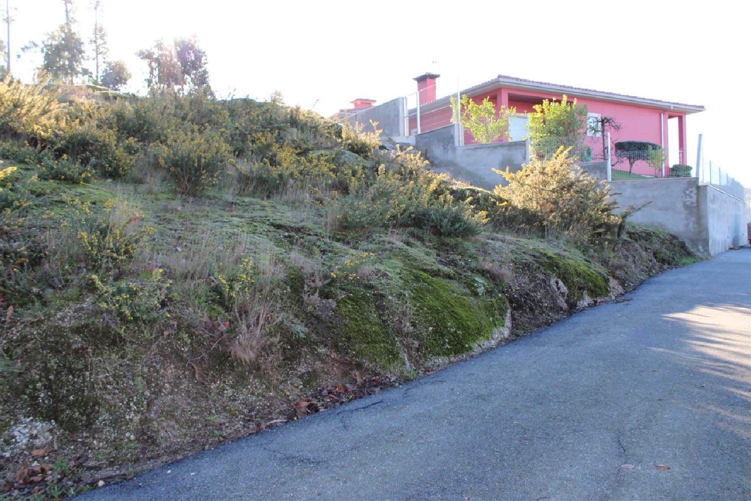  à vendre terrain Portela Amares 3