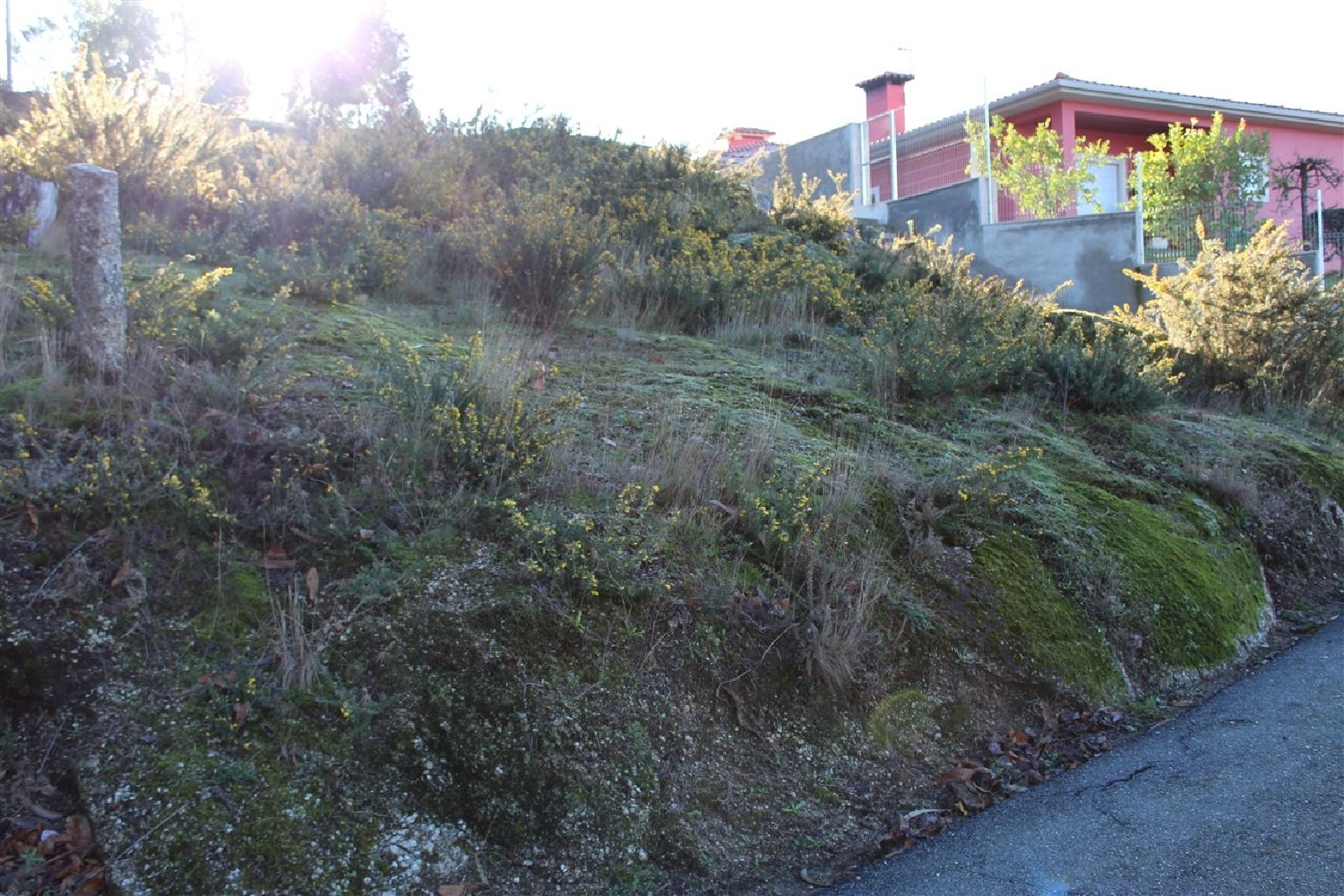  à vendre terrain Portela Amares 4