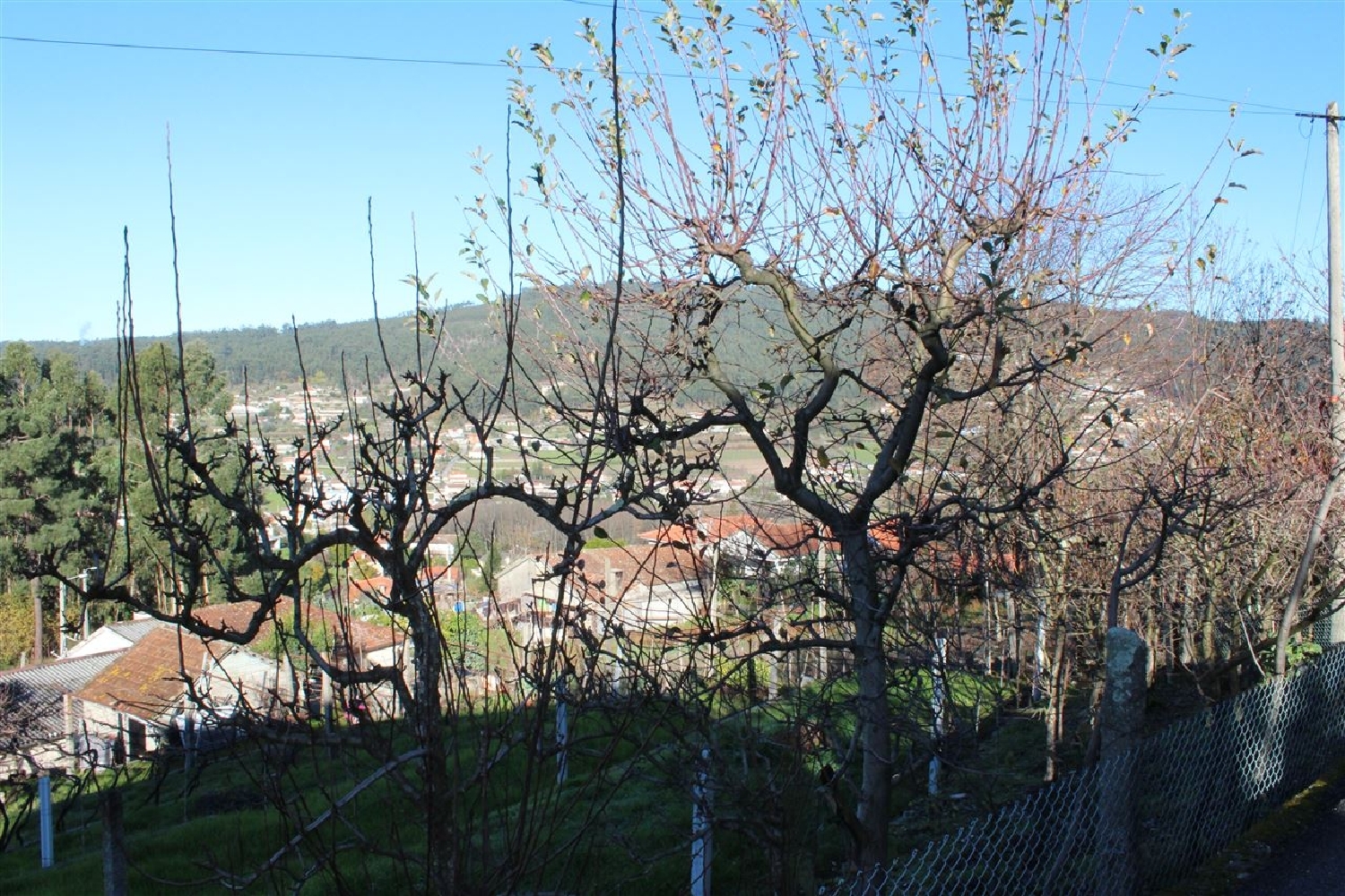  à vendre terrain Portela Amares 5