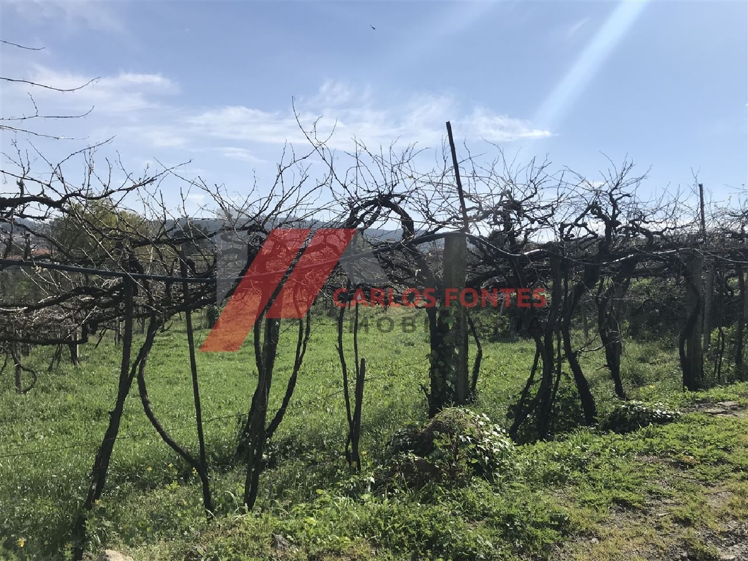  te koop terrein Rebordões Santo Tirso 2