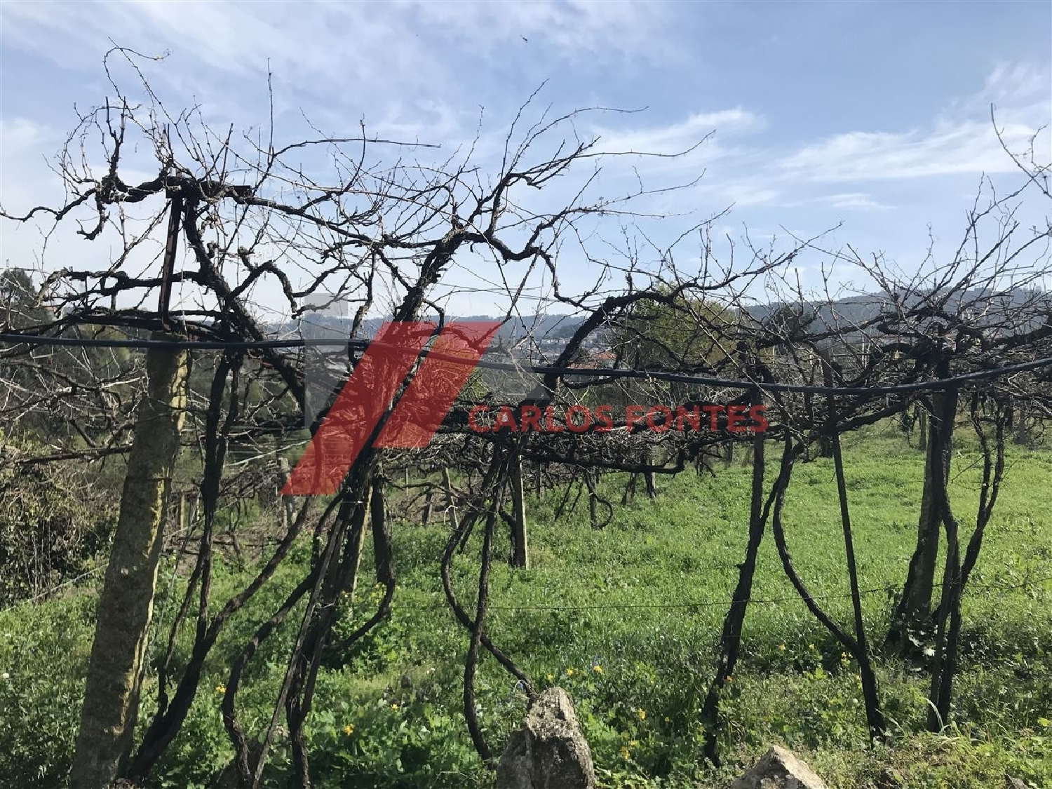  te koop terrein Rebordões Santo Tirso 3