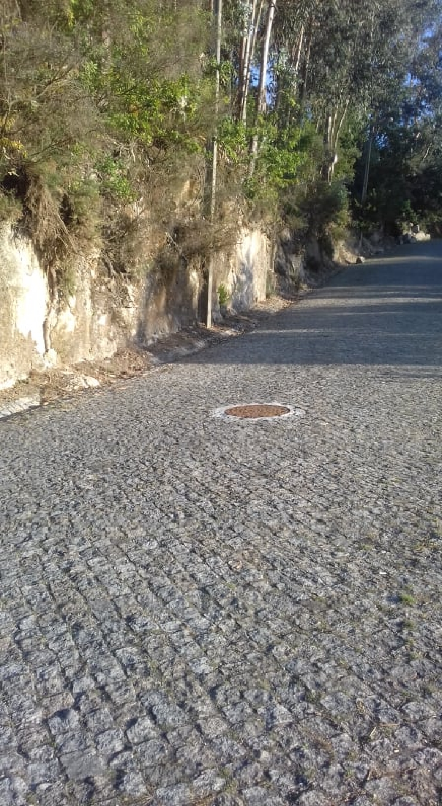  en venta terreno Rebordosa Paredes 1