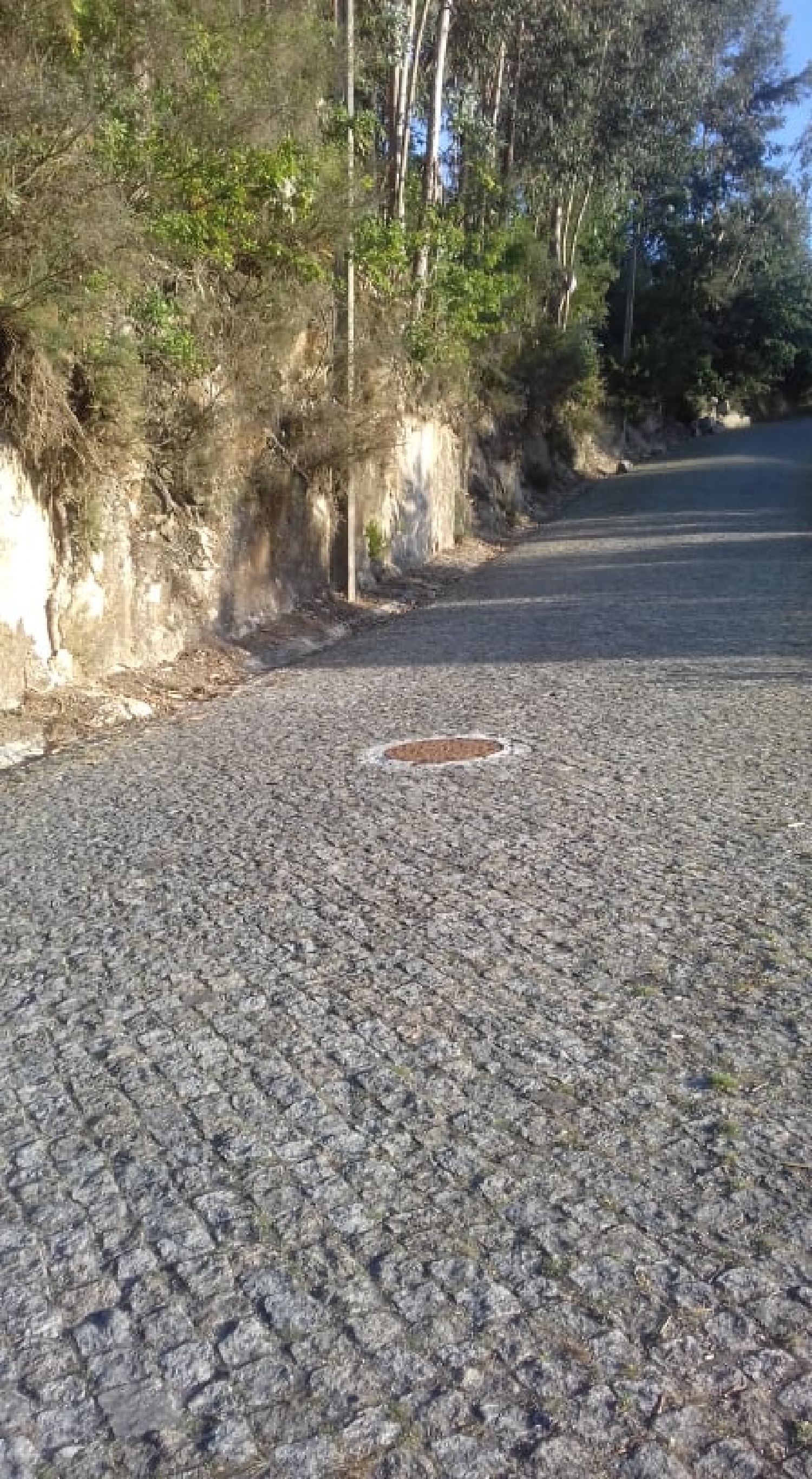 en venta terreno Rebordosa Paredes 3