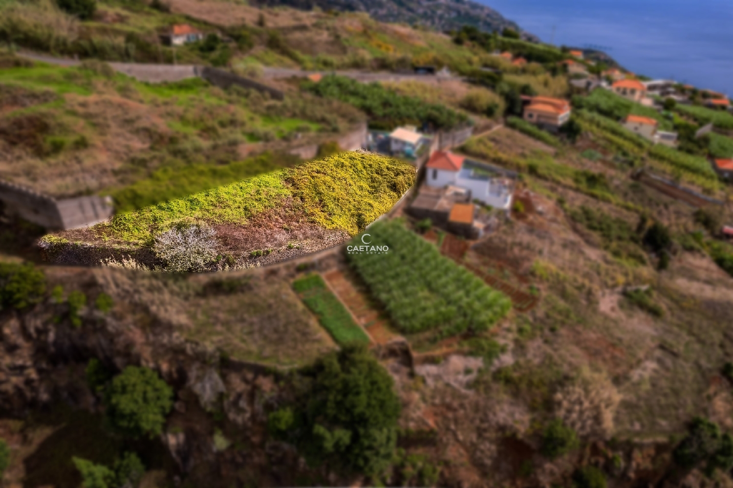  te koop terrein Ribeira Brava Ribeira Brava 8