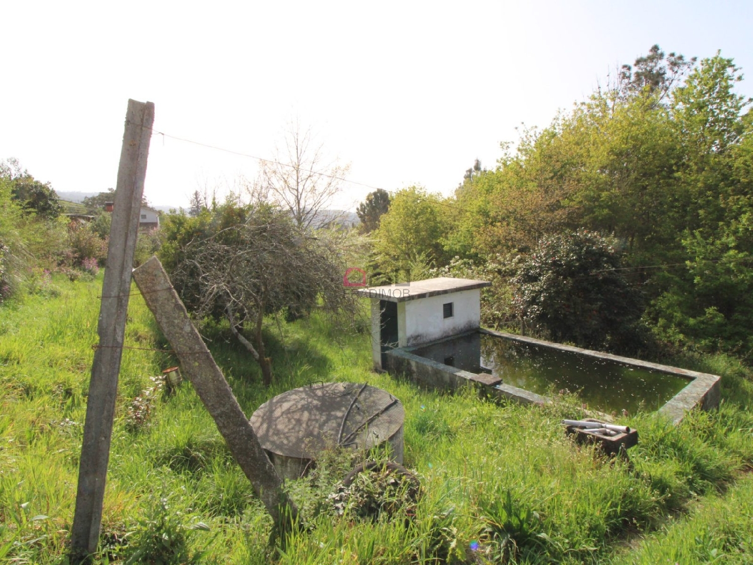  kaufen Grundstück Ribeira Castro Daire 5