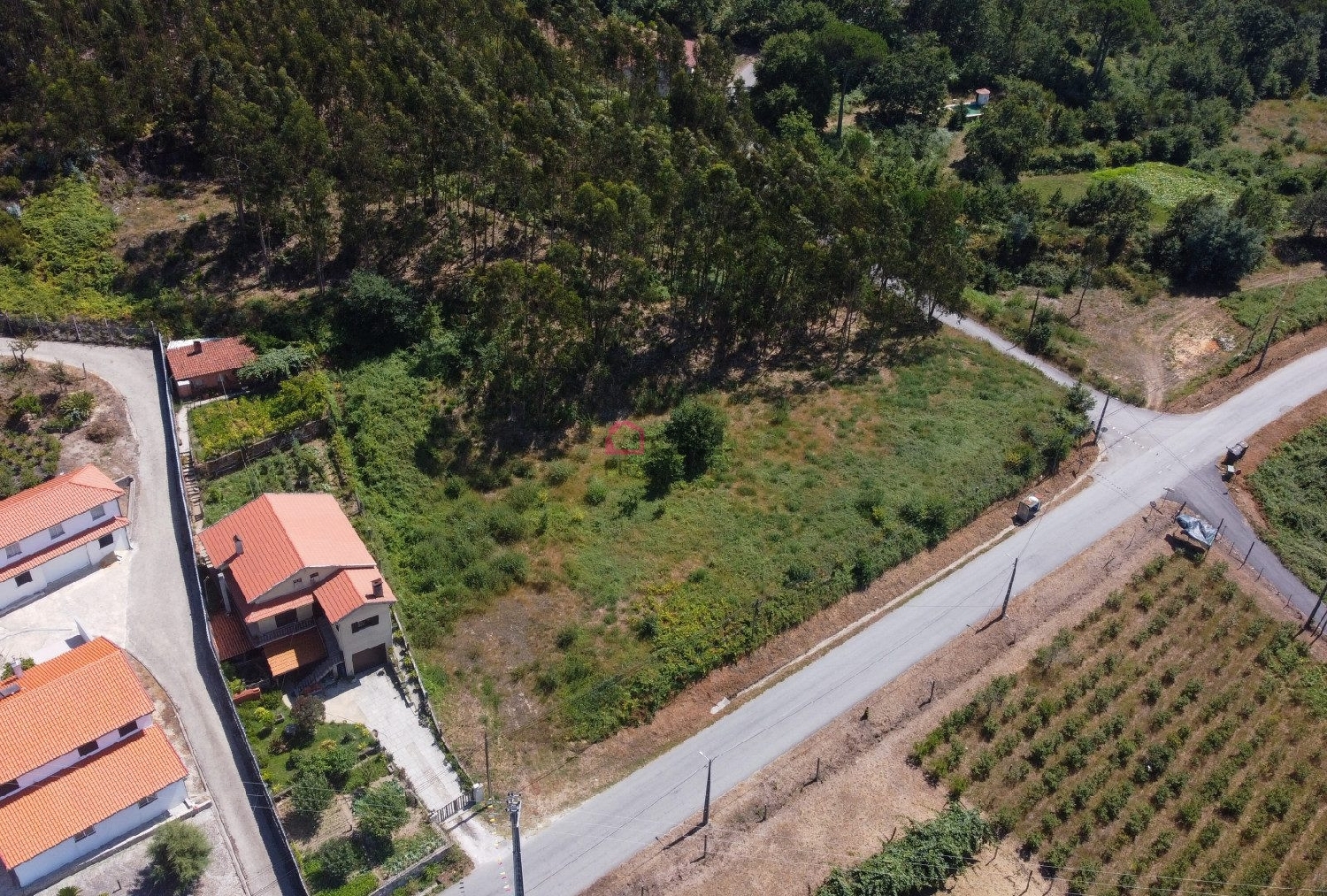  kaufen Grundstück Ribeira Castro Daire 1