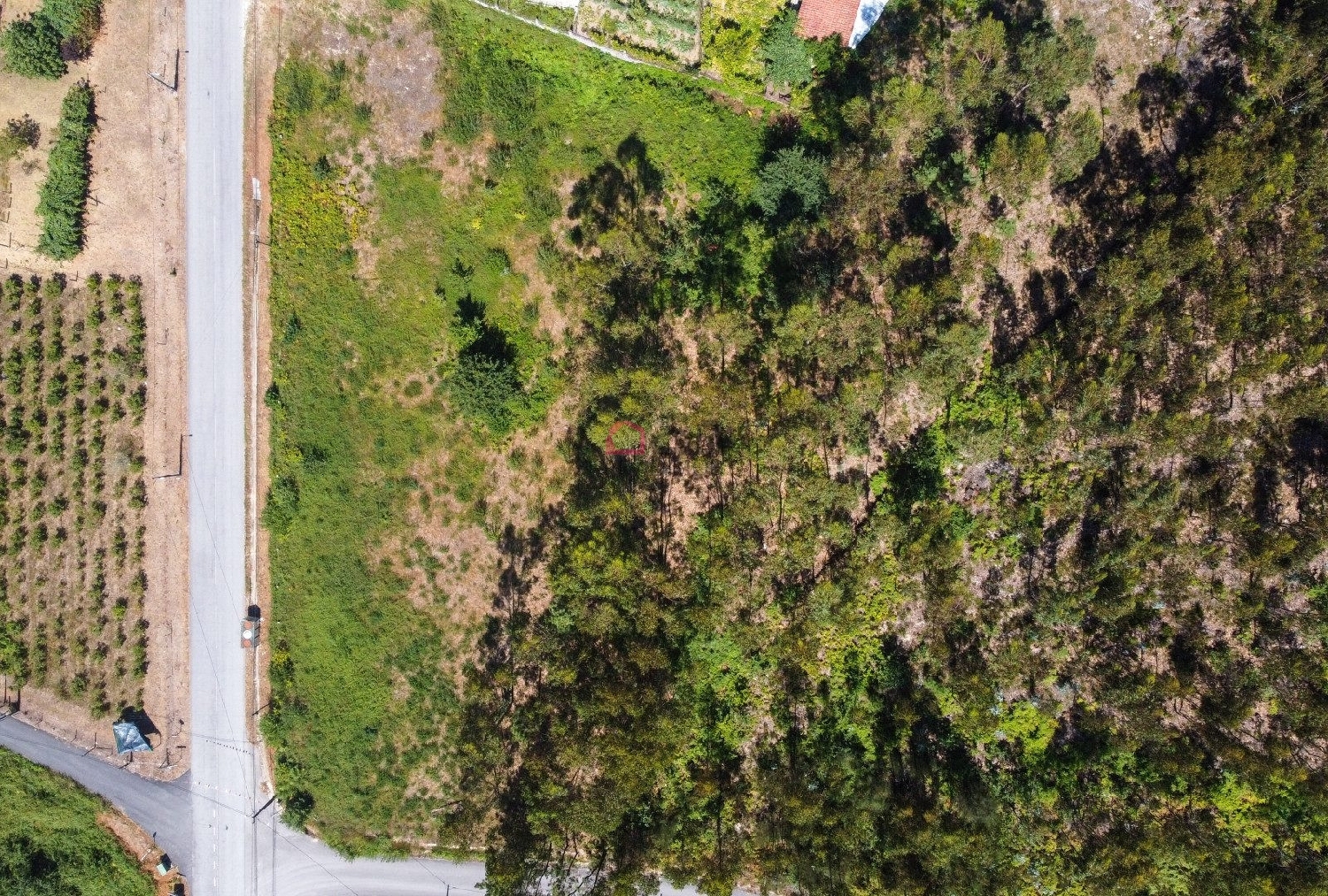  kaufen Grundstück Ribeira Castro Daire 7
