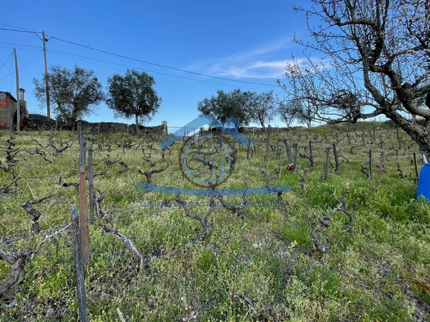  en venta terreno Sá Peso Da Régua 2