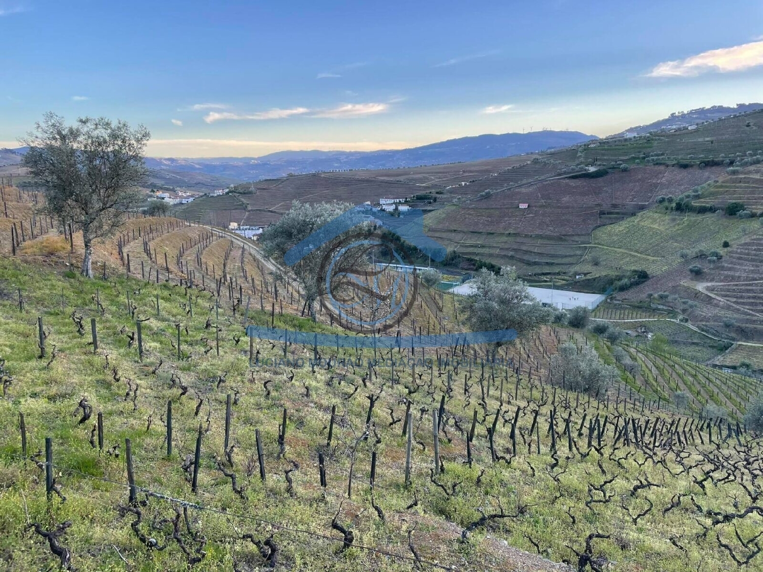  en venta terreno Sá Peso Da Régua 4