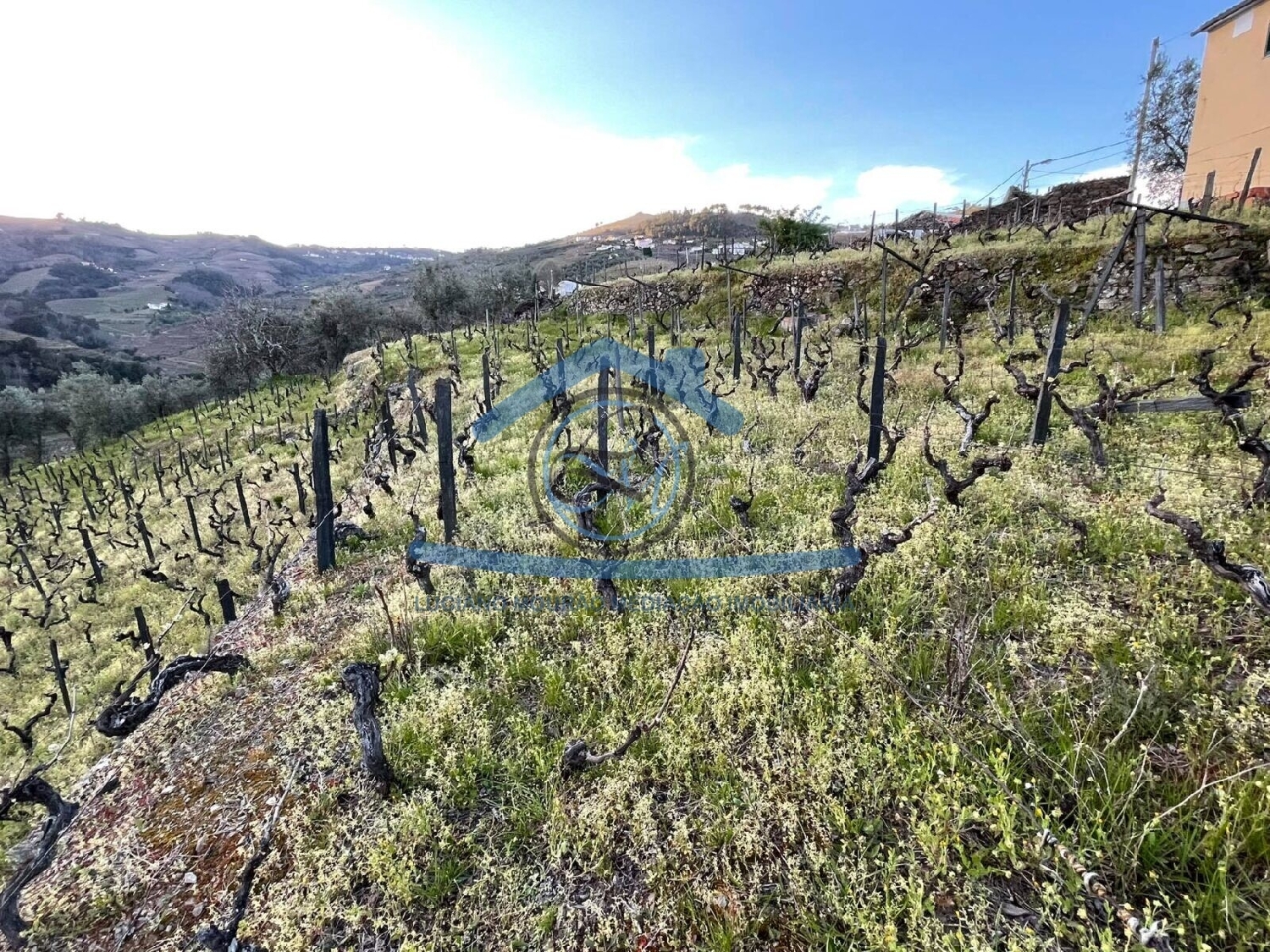 en venta terreno Sá Peso Da Régua 5