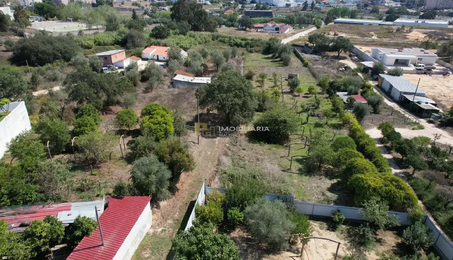  à vendre terrain Santarém Santarém 5