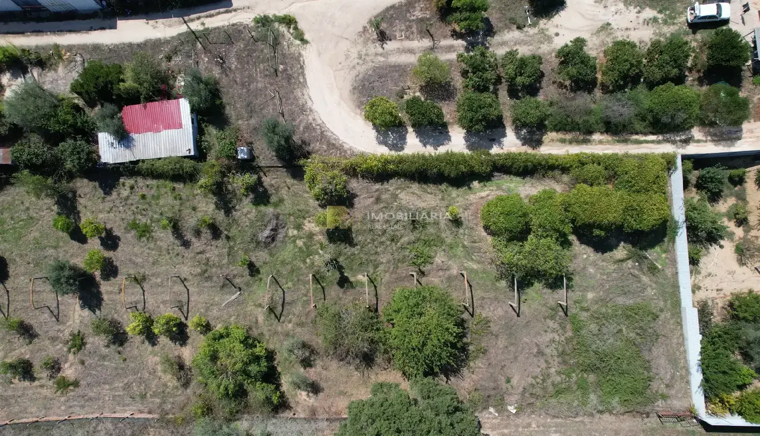  à vendre terrain Santarém Santarém 6