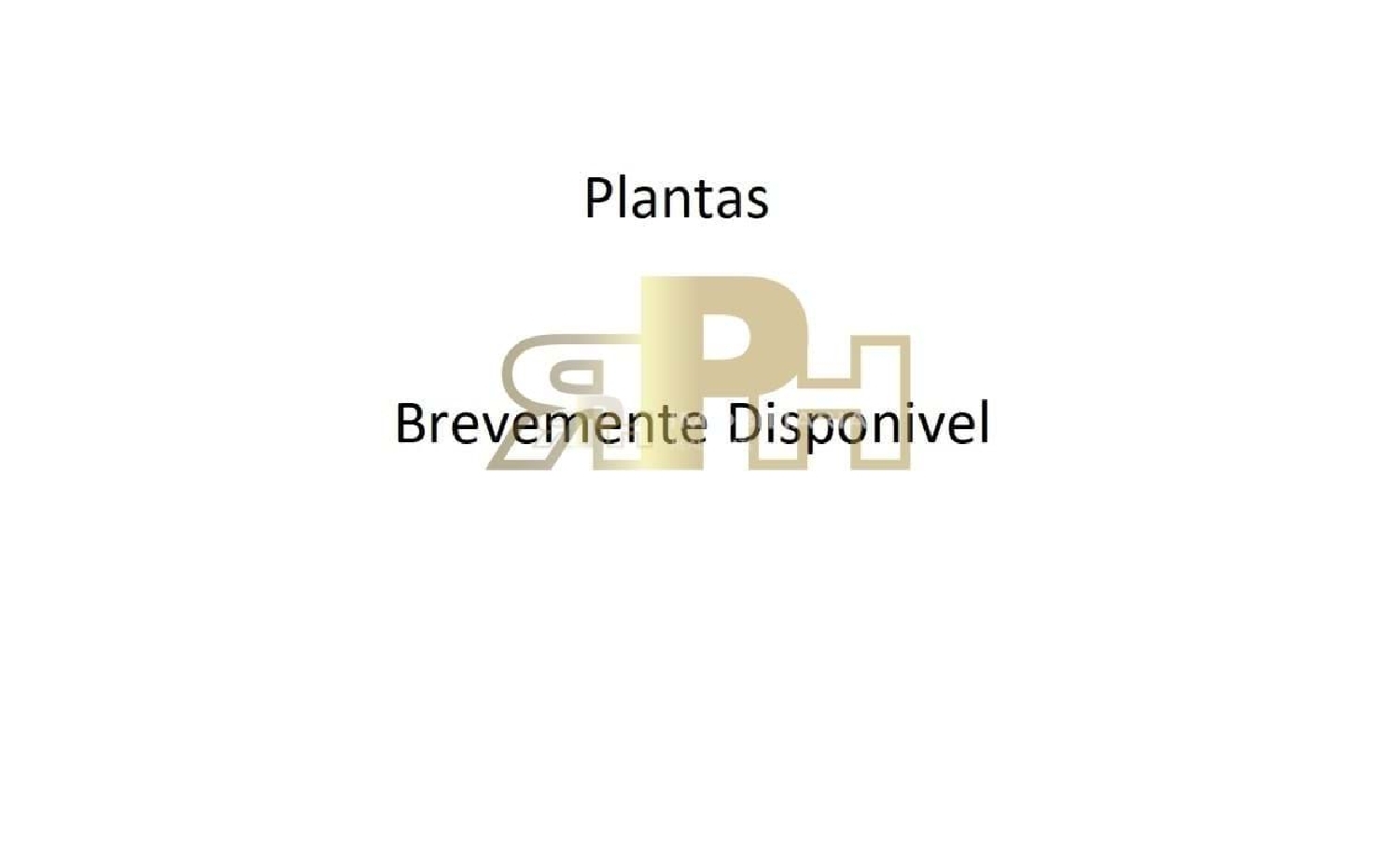  à vendre terrain Santarém Santarém 7
