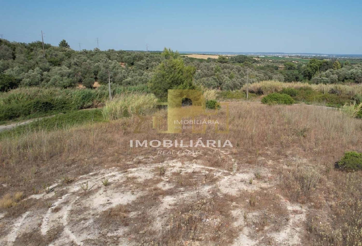 à vendre terrain Santarém Santarém 5