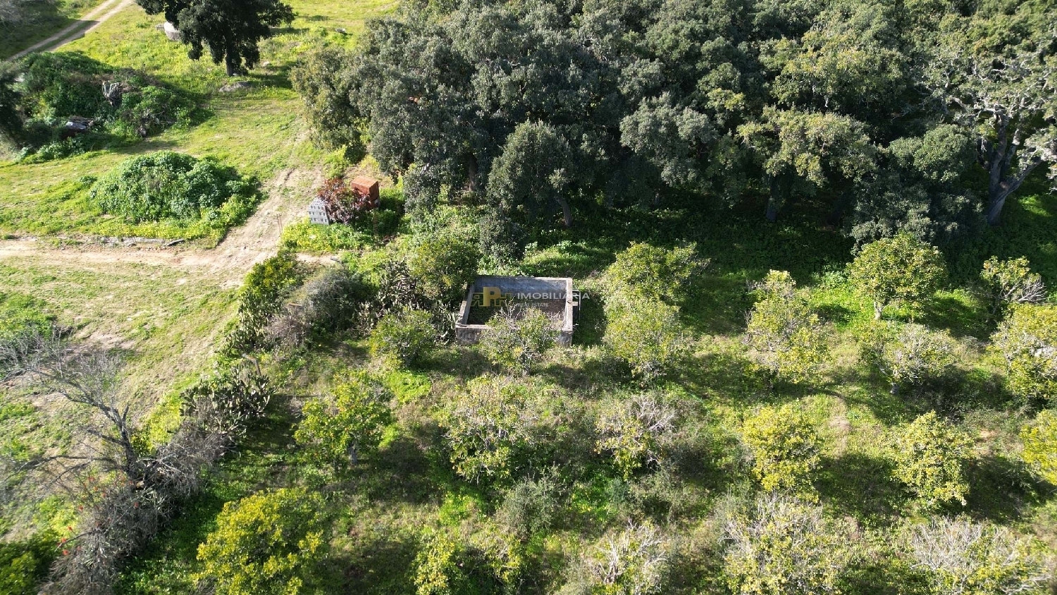 te koop terrein Santarém Santarém 3