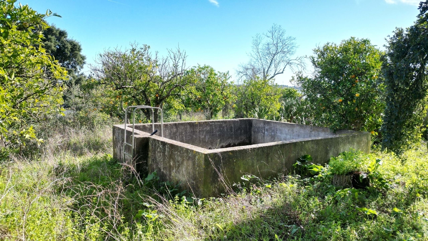  te koop terrein Santarém Santarém 5