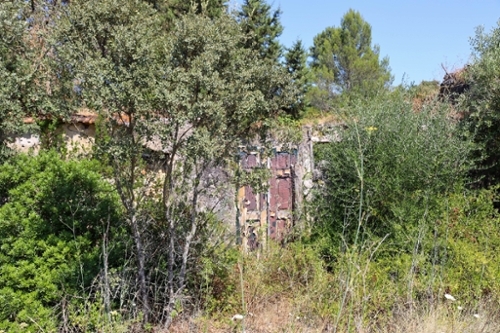 Santarém Santarém terreno foto 336454