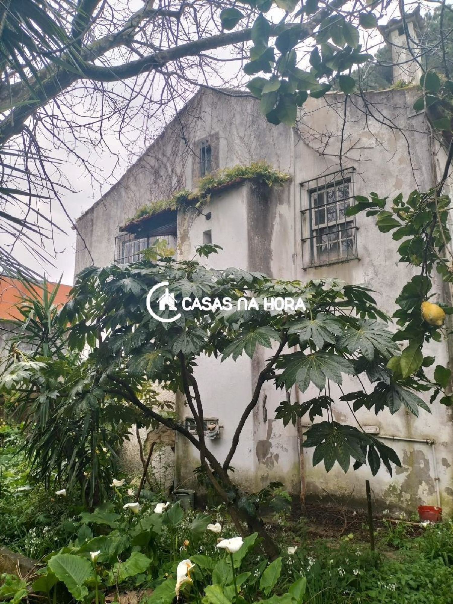 köpa tomt São Mamede de Infesta Matosinhos 3