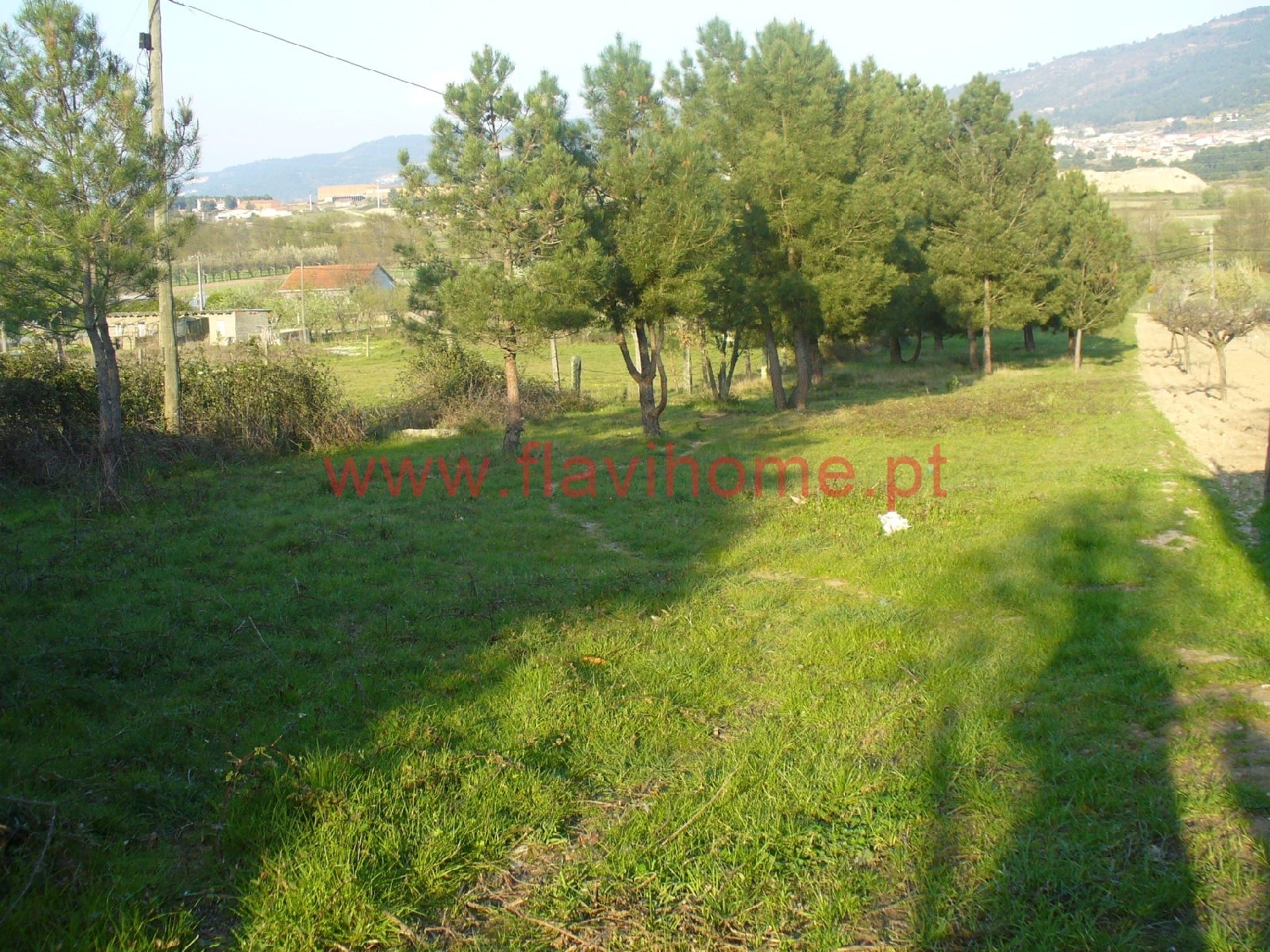 à vendre terrain São Pedro de Agostem Chaves 2