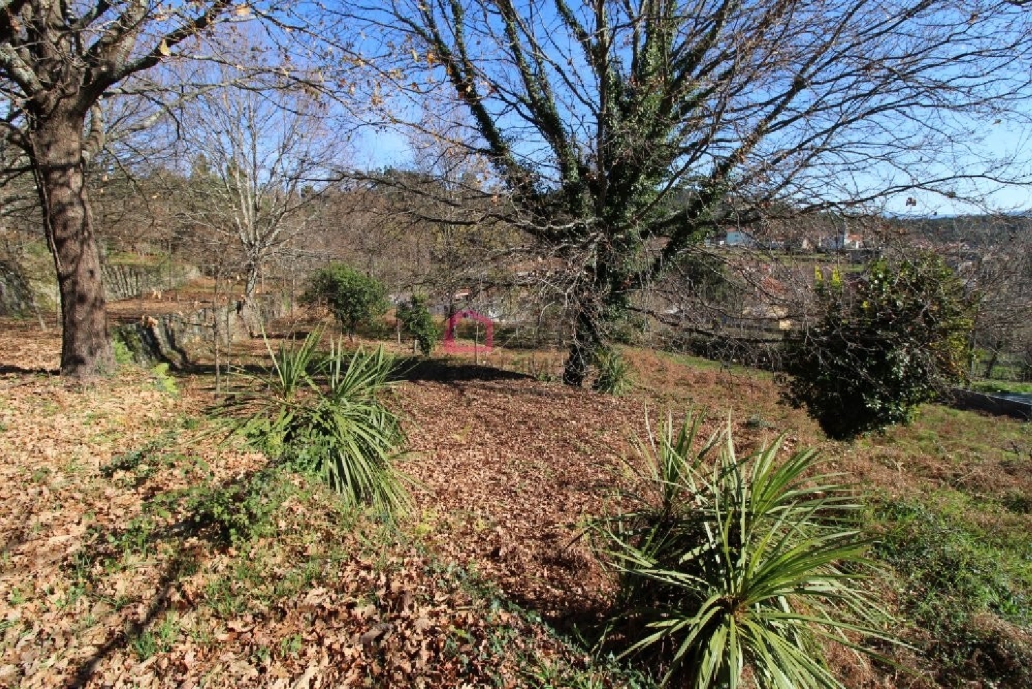 te koop terrein Serrazes São Pedro Do Sul 3