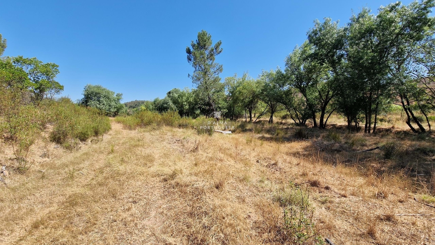  te koop terrein Silves Silves 2