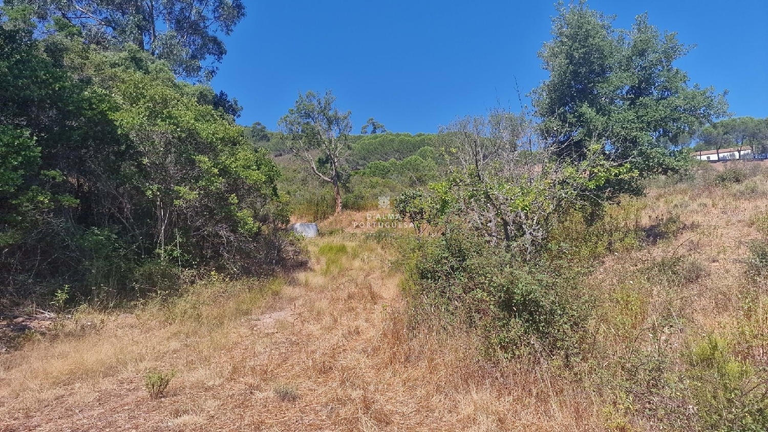  te koop terrein Silves Silves 3