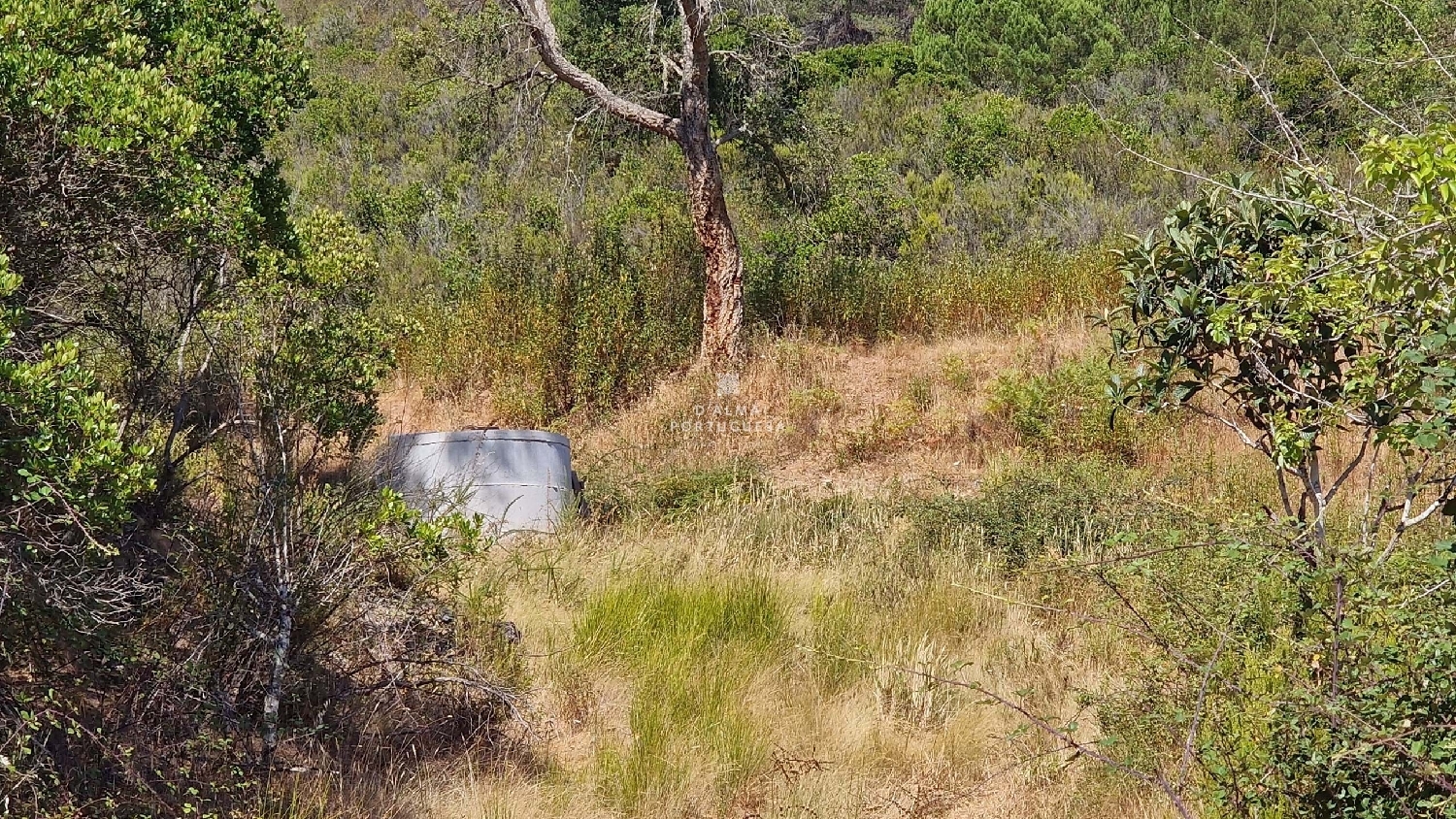  te koop terrein Silves Silves 4