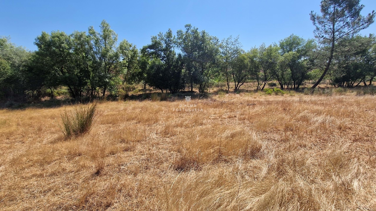  te koop terrein Silves Silves 5