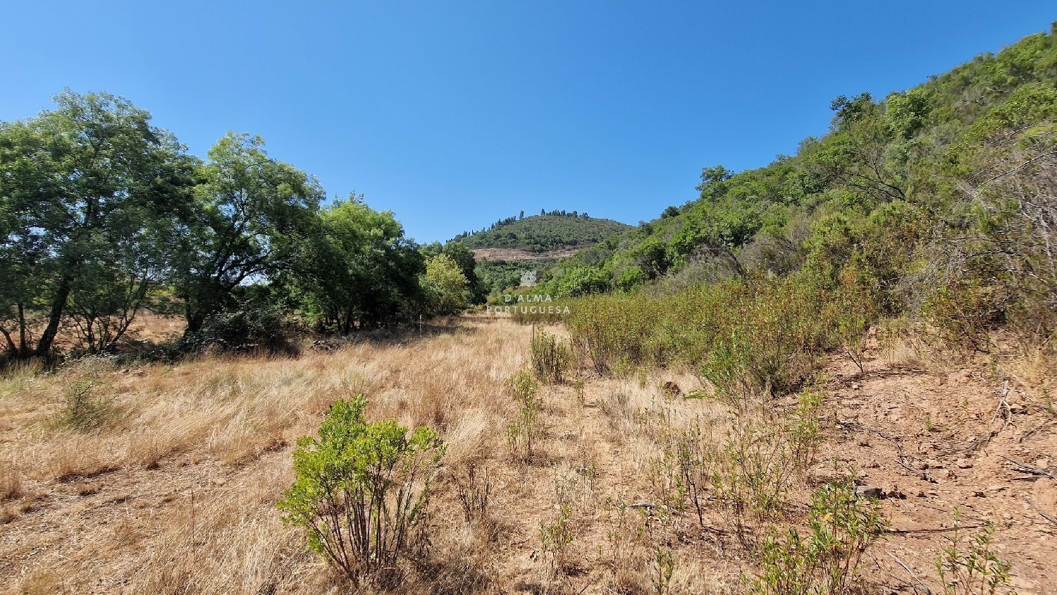  te koop terrein Silves Silves 6
