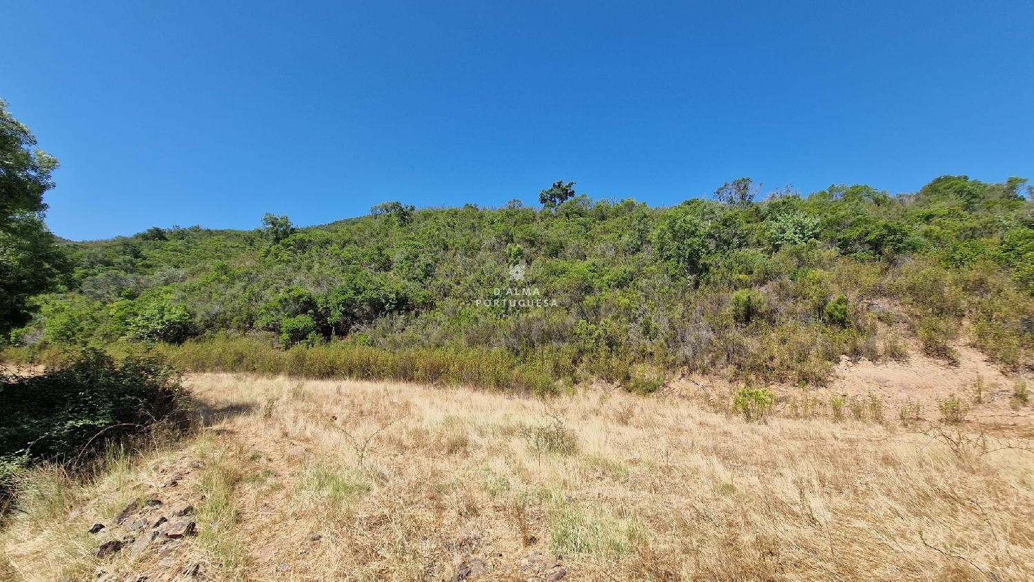  te koop terrein Silves Silves 7