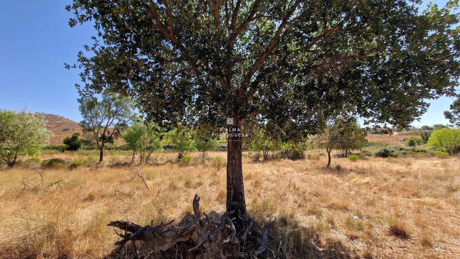  te koop terrein Silves Silves 8