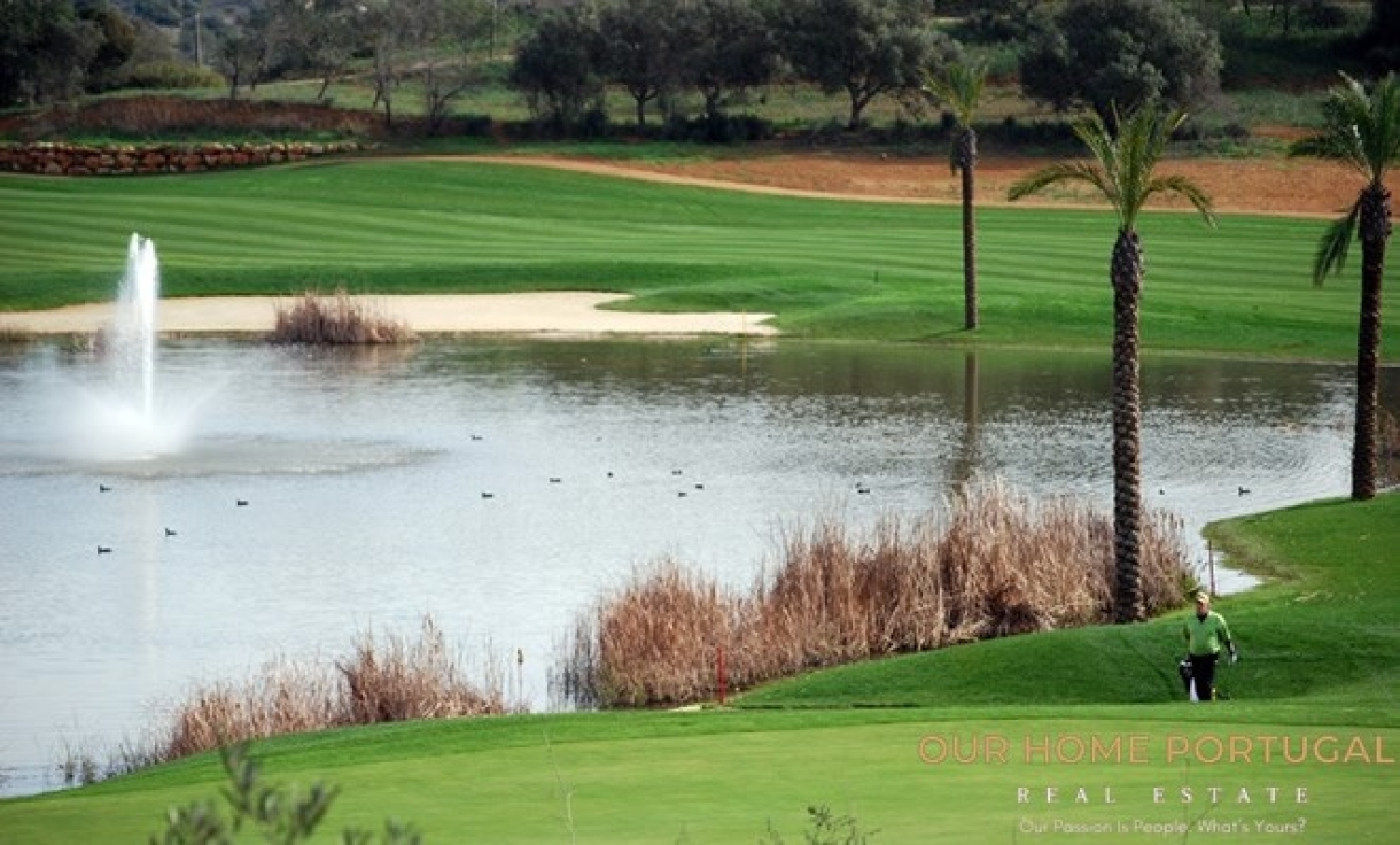  te koop terrein Silves Silves 6