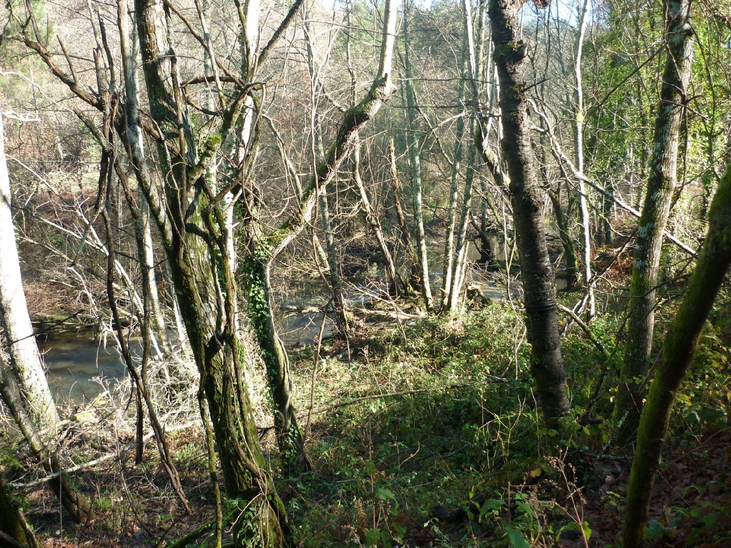  à vendre terrain Sobradelo da Goma Póvoa De Lanhoso 3