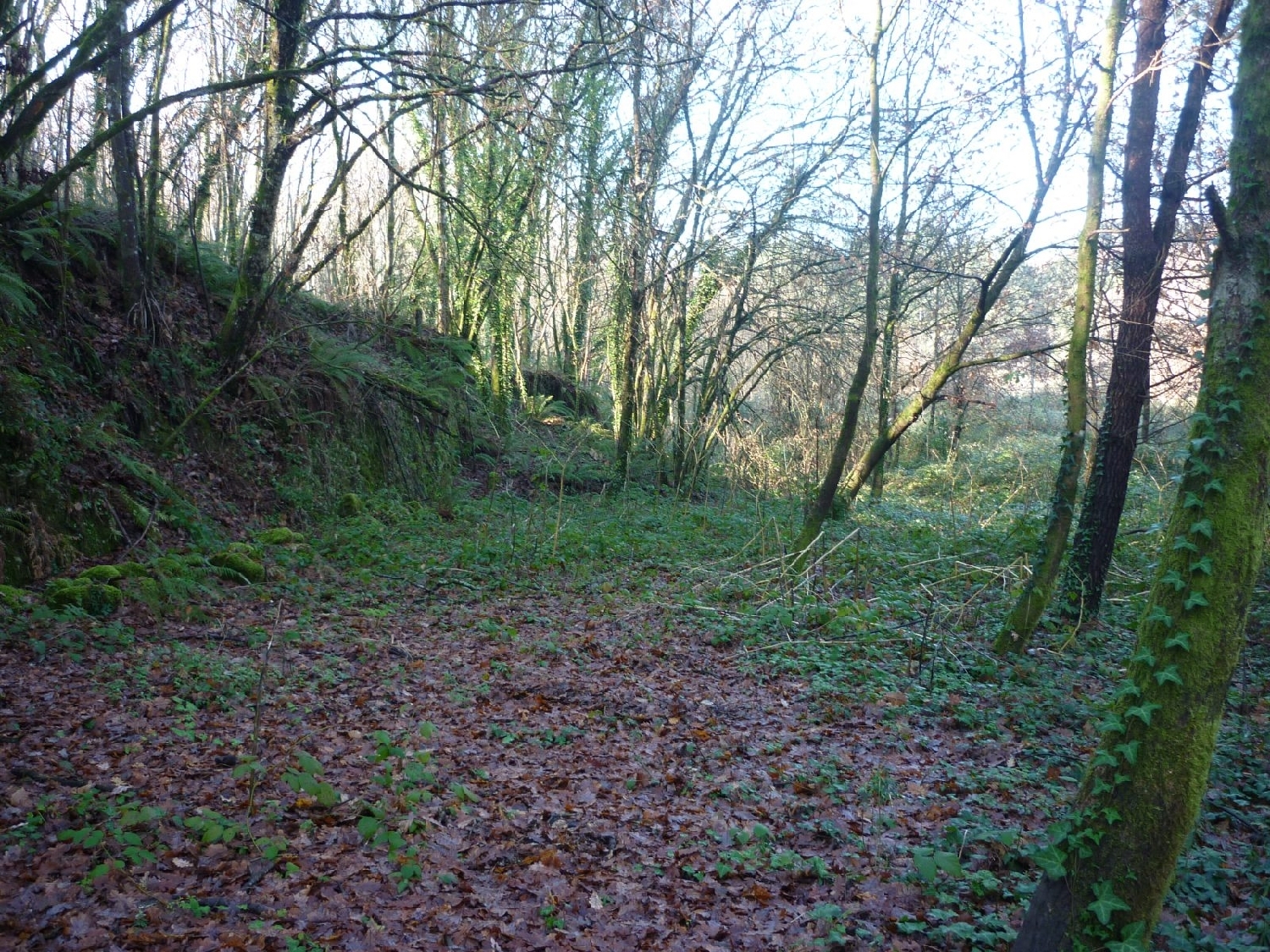  à vendre terrain Sobradelo da Goma Póvoa De Lanhoso 4