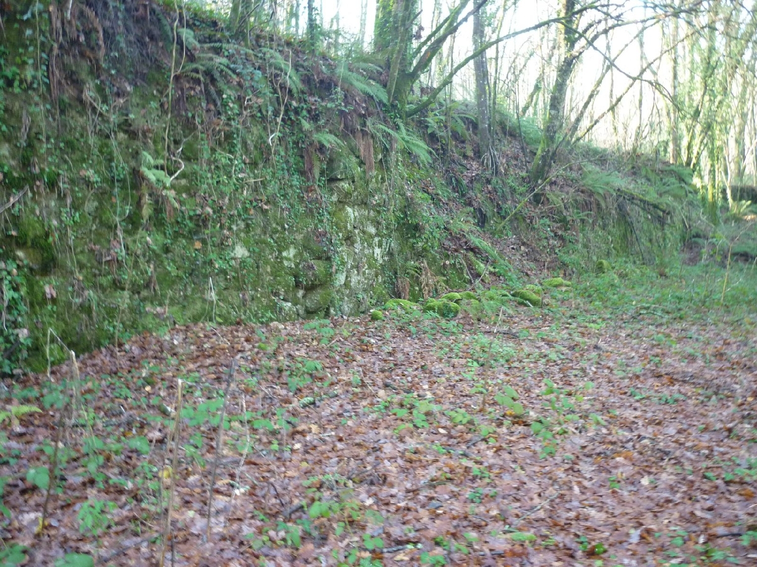  à vendre terrain Sobradelo da Goma Póvoa De Lanhoso 5