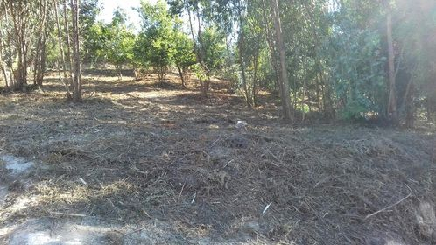  à venda terreno Sobreira Paredes 1