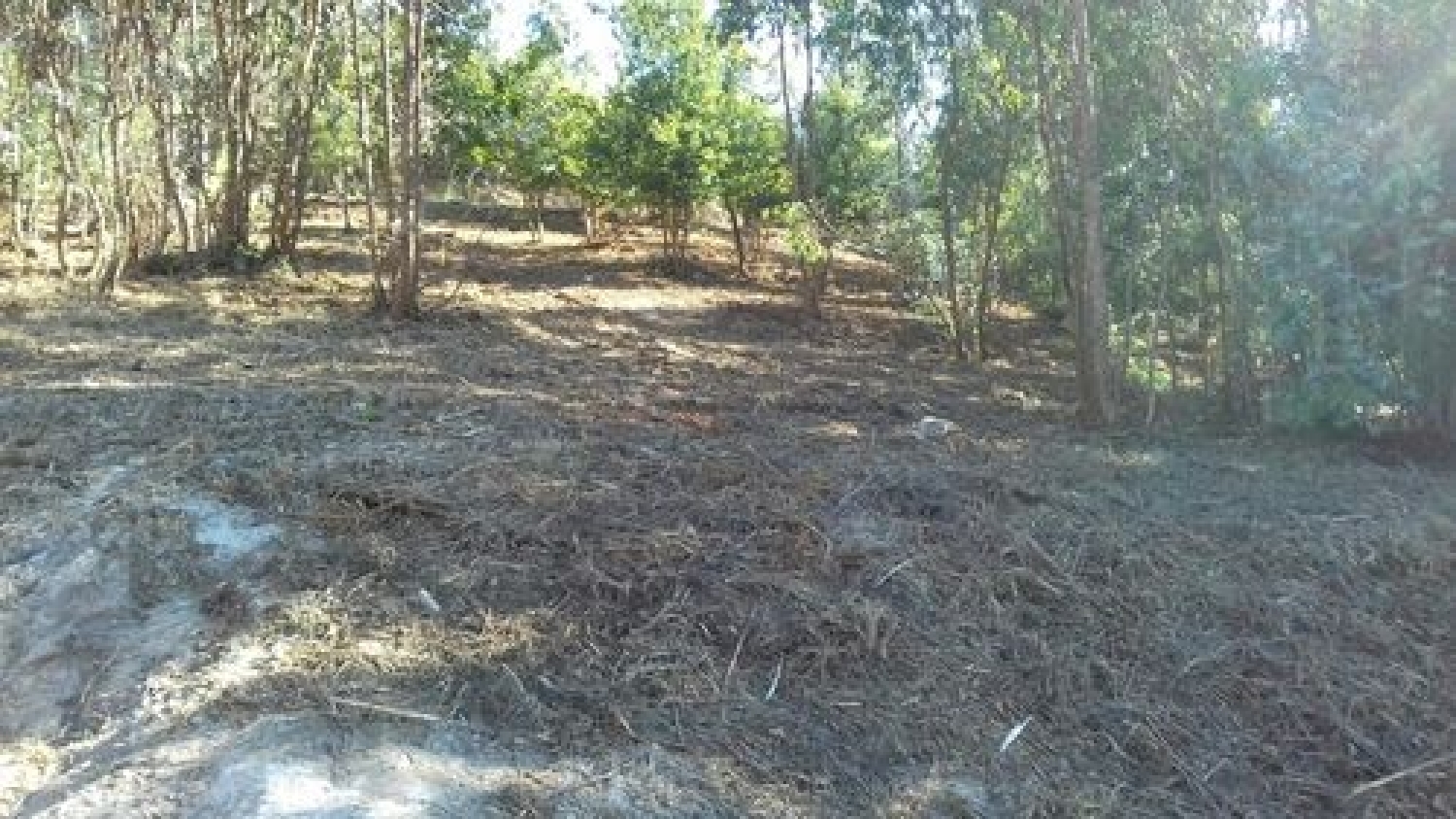 à venda terreno Sobreira Paredes 2