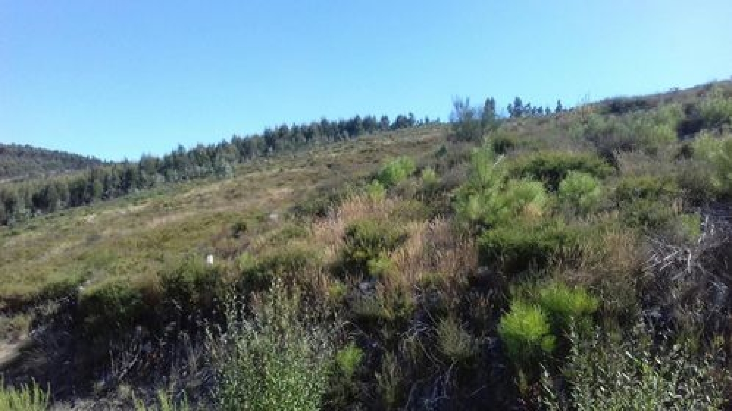  en venta terreno Sobreira Paredes 1
