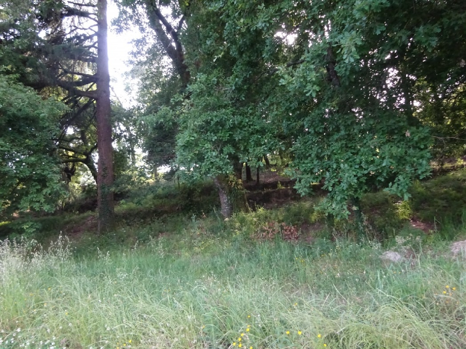  à venda terreno Souto Castro Daire 5